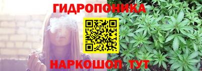 СК Гагарин