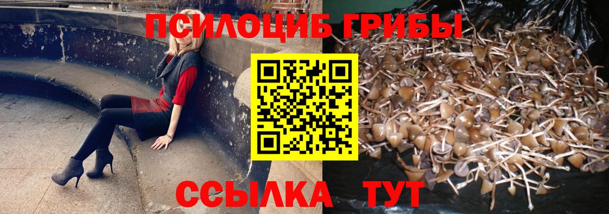 Псилоцибиновые грибы мухоморы Уссурийск